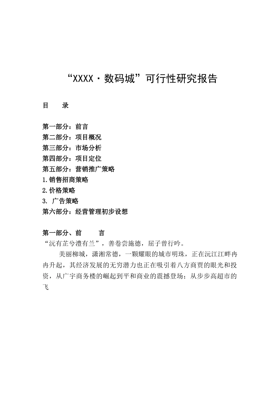 “某某数码城”可行性研究报告.doc_第1页
