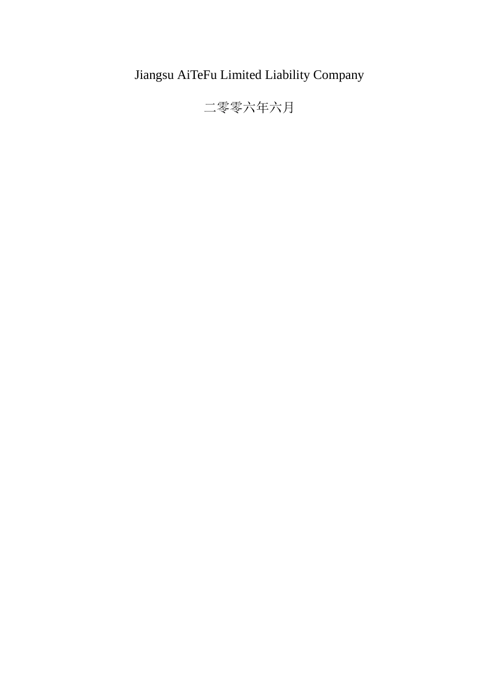 飞毛腿某某动力车项目商业计划书.doc_第2页