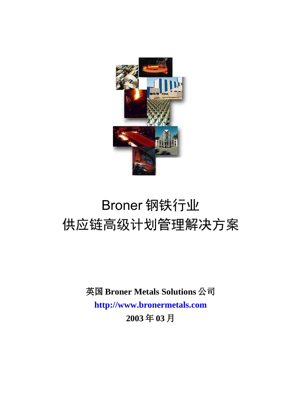 某钢铁行业供应链高级计划管理解决方案.doc_第1页