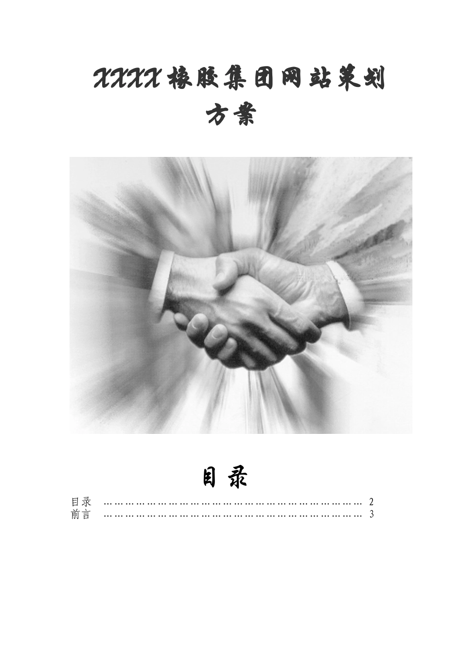某某橡胶集团网站策划方案.doc_第1页
