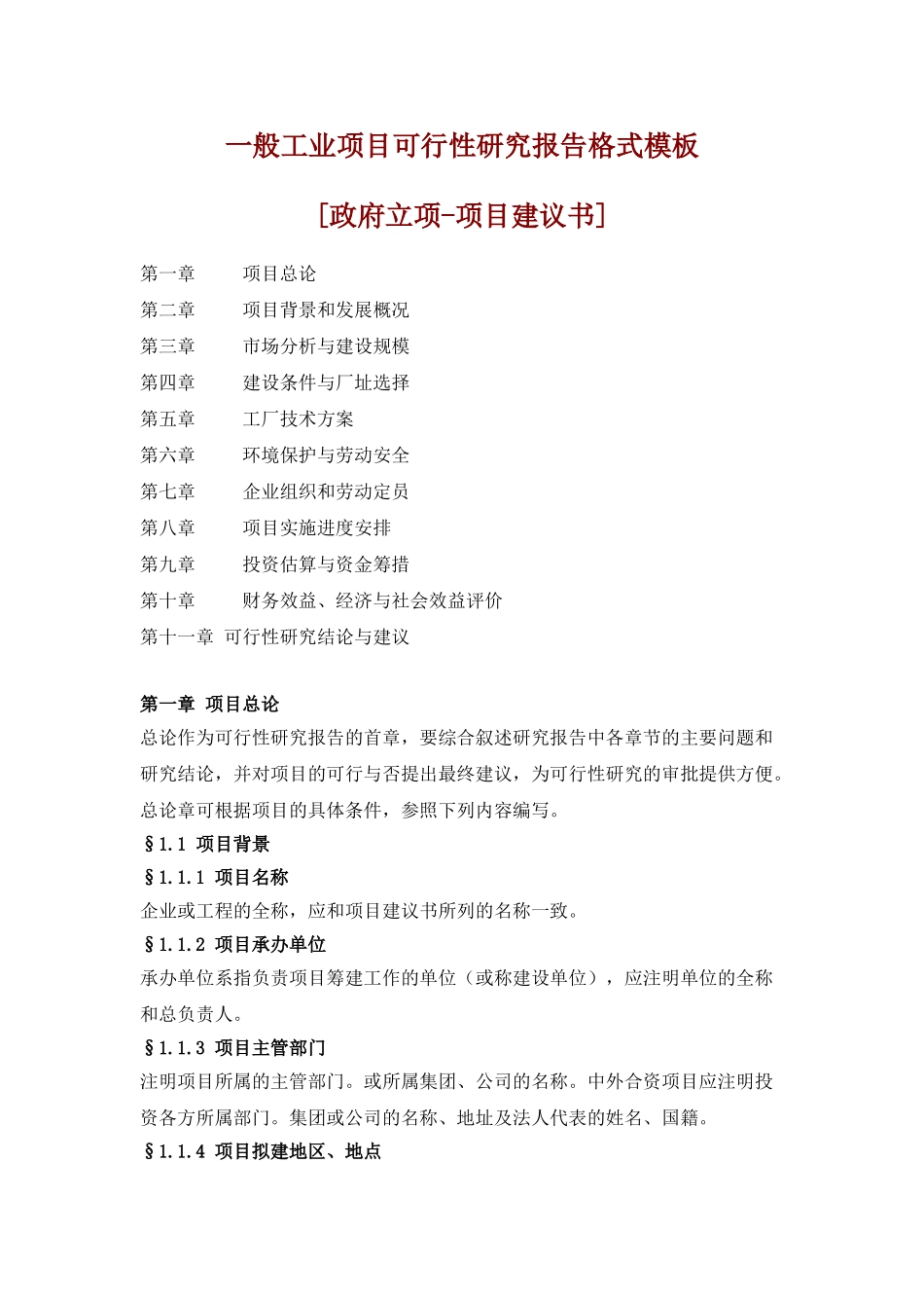 一般工业项目可行性研究报告格式模板.doc_第1页