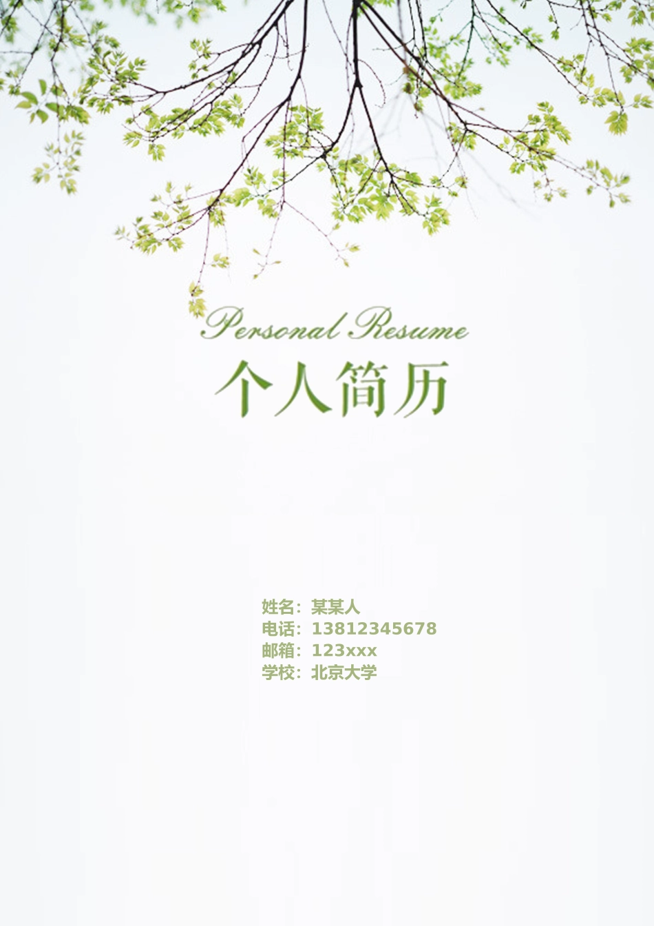 个人简历、自荐信、面试问题模版-6.树 枝 简 洁【简 历 封 面+简 历+自 荐 信】.doc_第1页