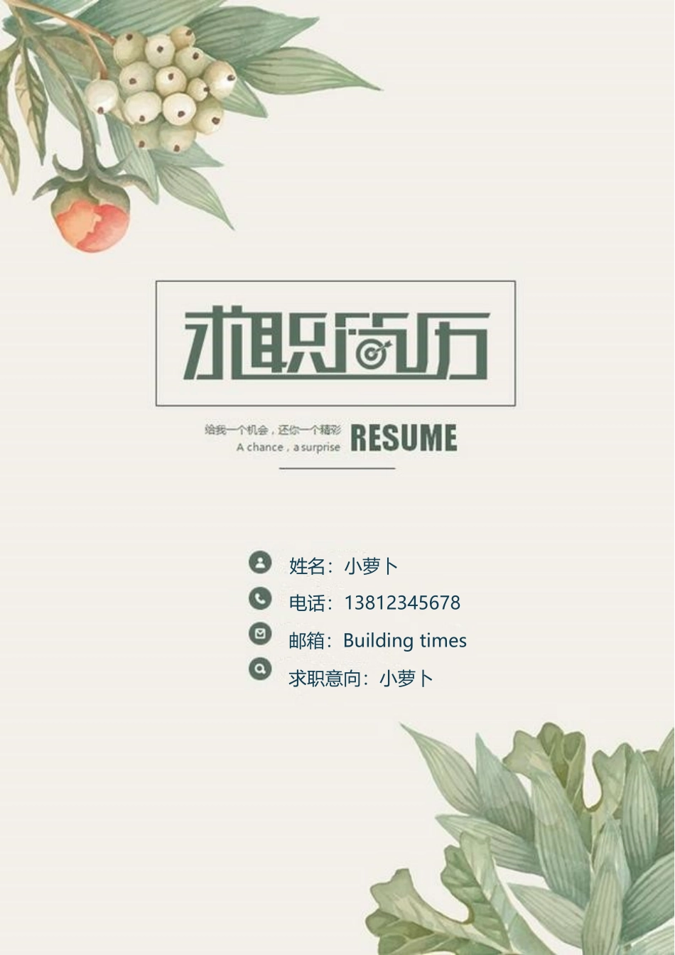 个人简历、自荐信、面试问题模版-13(1).doc_第1页