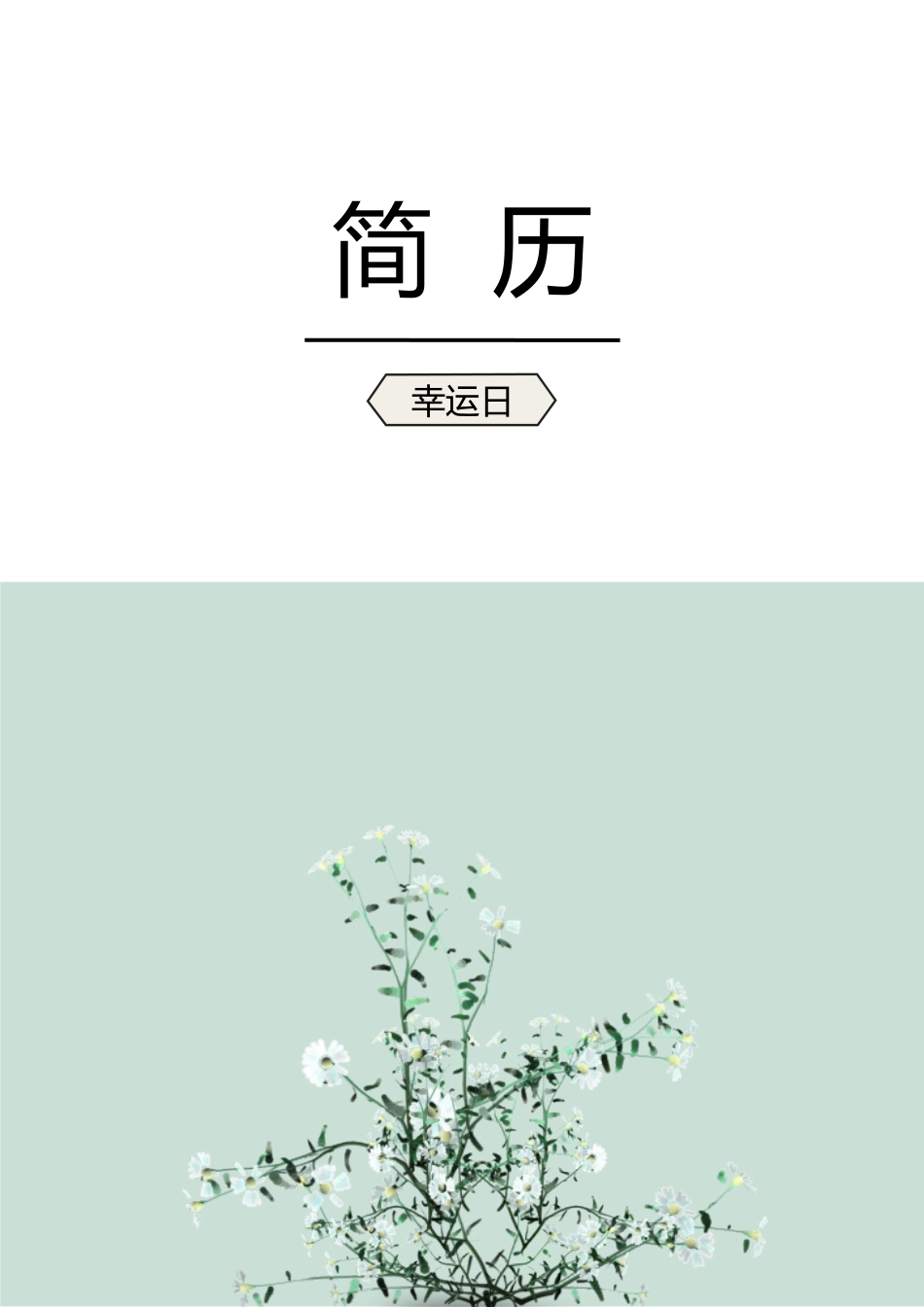 个人简历、自荐信、面试问题模版-16(13).docx_第1页
