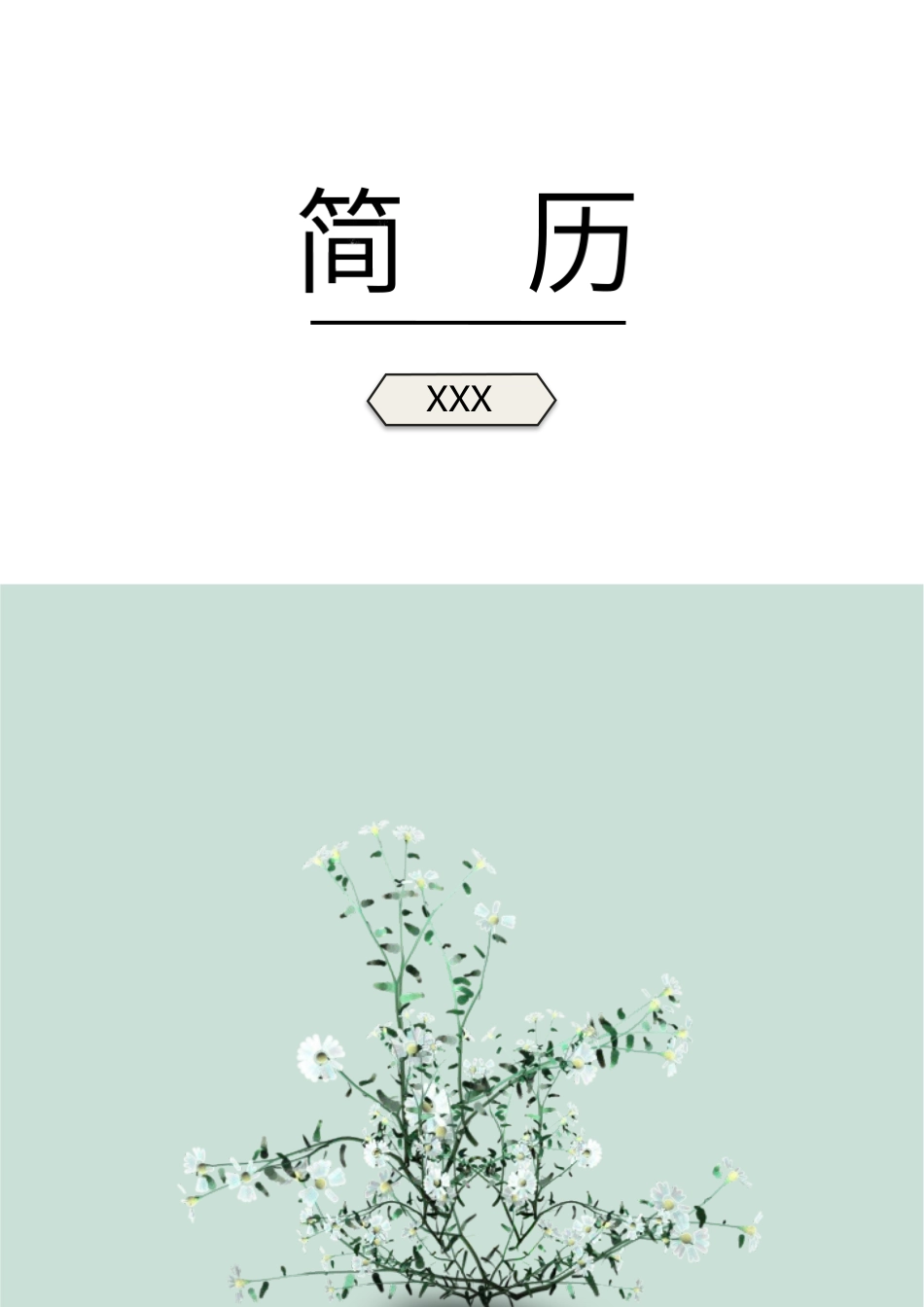 个人简历、自荐信、面试问题模版-45(12).docx_第1页