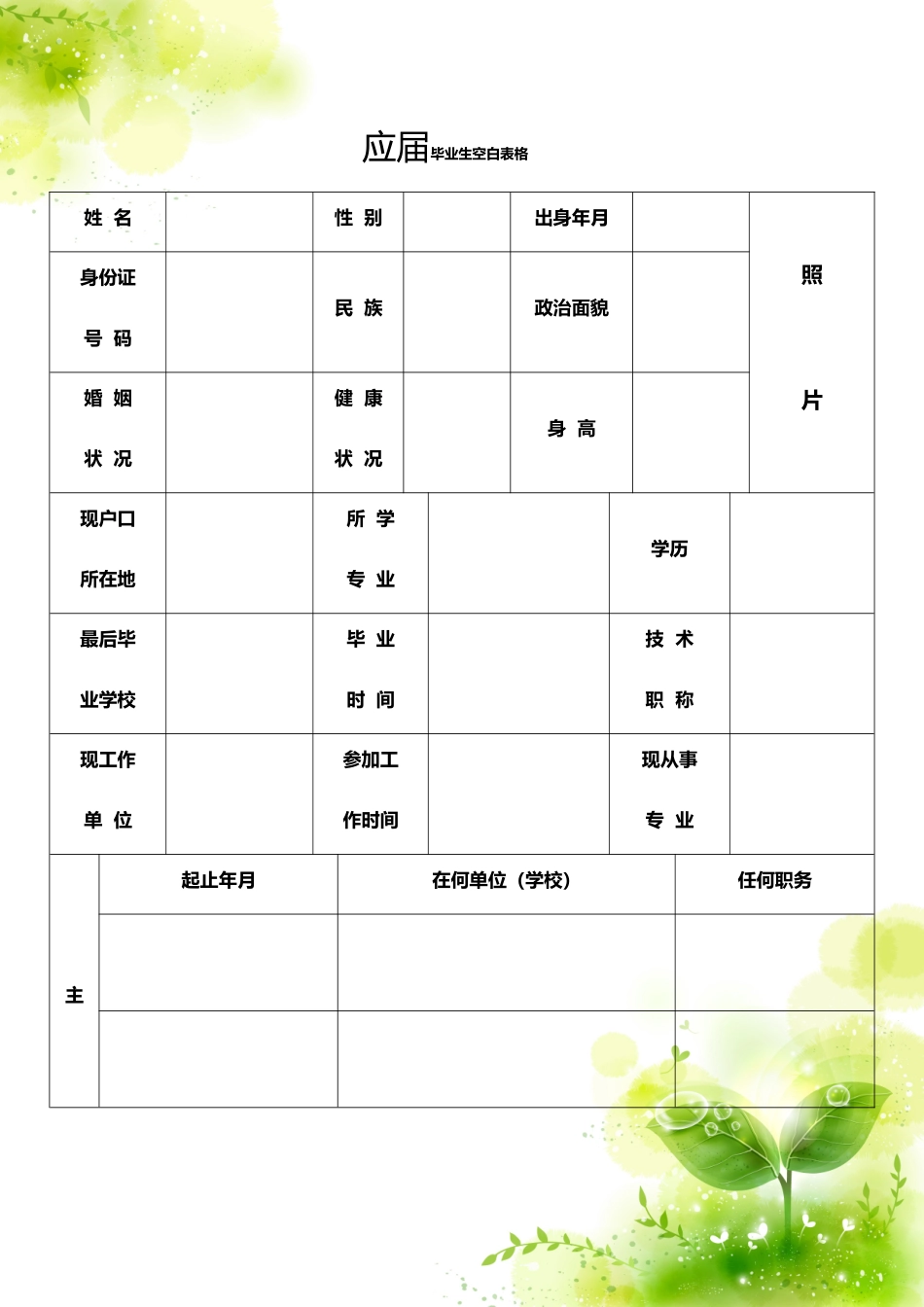 个人简历、自荐信、面试问题模版-双页空白简历标准表格-3.doc_第1页