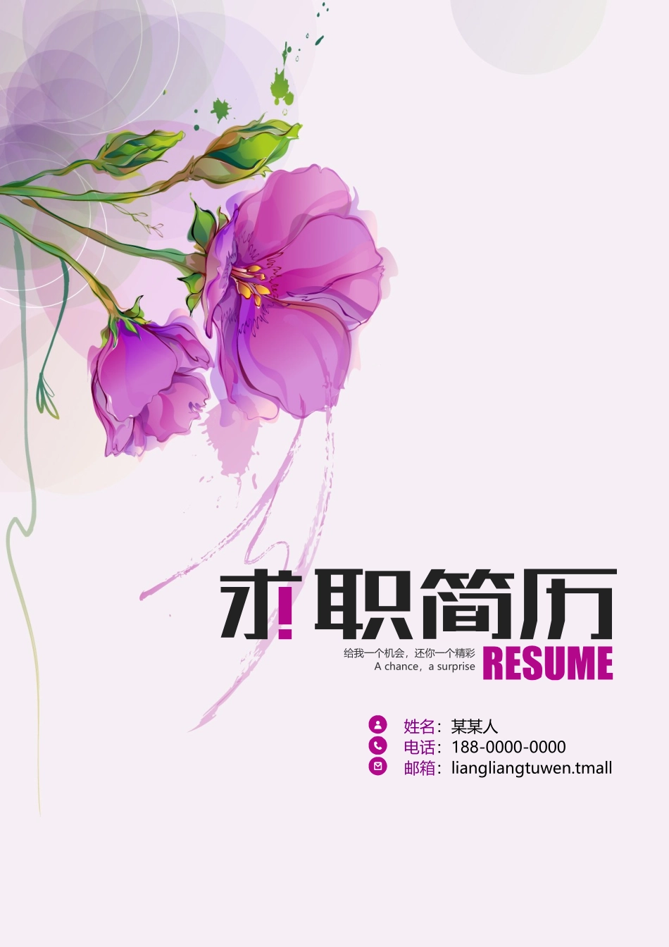 个人简历、自荐信、面试问题模版-套餐28.doc_第1页