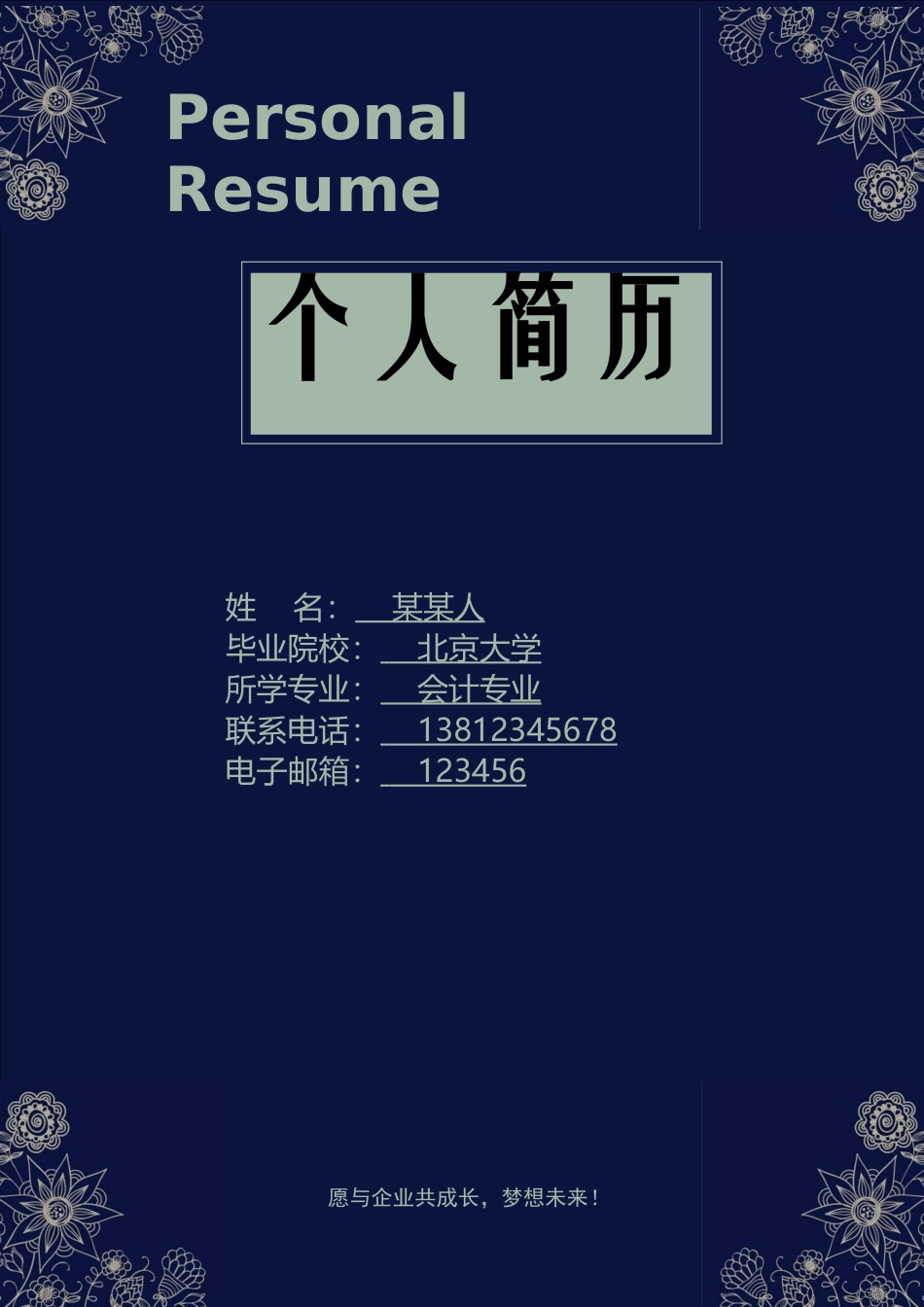 个人简历、自荐信、面试问题模版-套餐29.doc_第1页