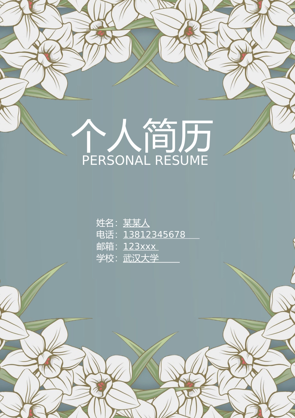 个人简历、自荐信、面试问题模版-套餐30.doc_第1页