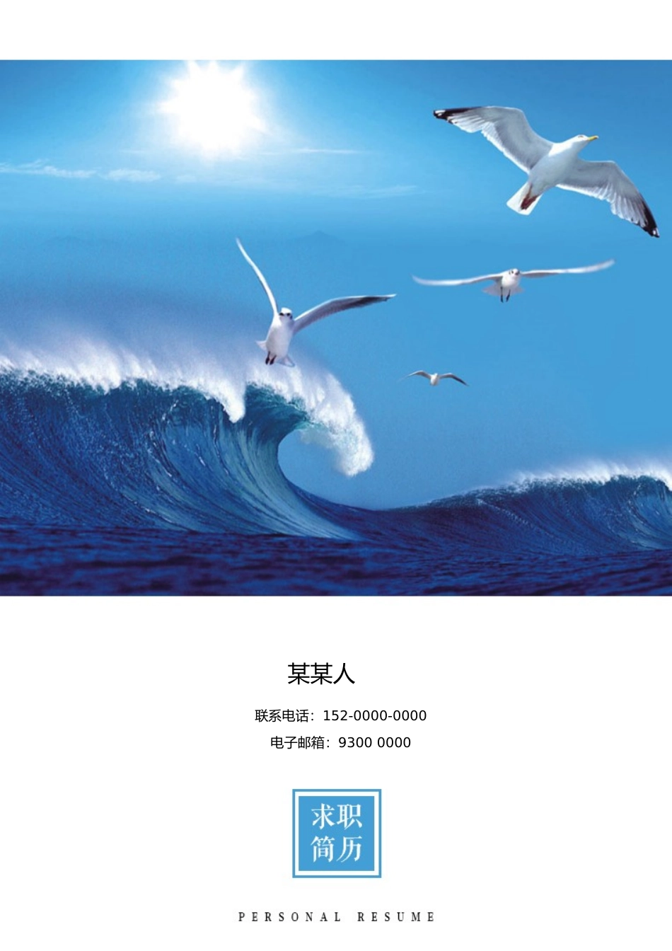 个人简历、自荐信、面试问题模版-套餐31.doc_第1页