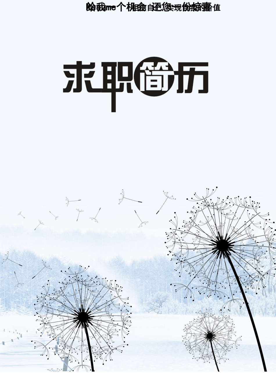 个人简历、自荐信、面试问题模版-套餐40.doc_第1页