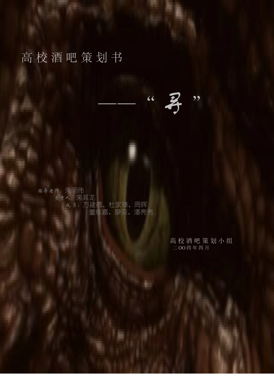 高校酒吧商业计划书.doc_第1页