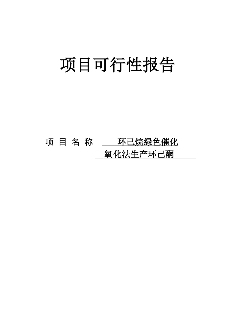化氧化法生产环己酮 项目可行性报告.doc_第1页