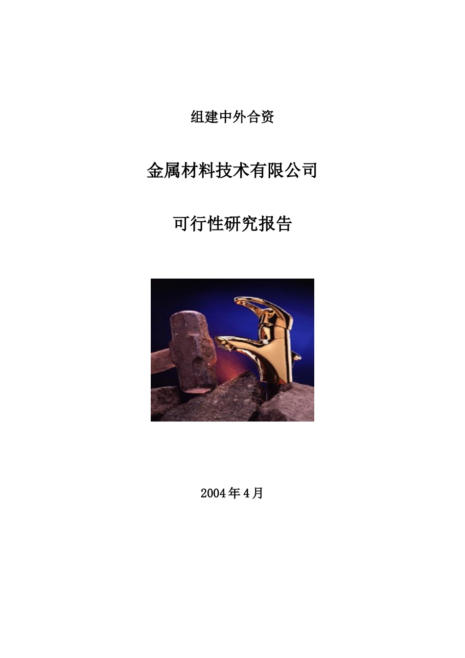 金属材料技术有限公司可行性研究报告.doc_第1页