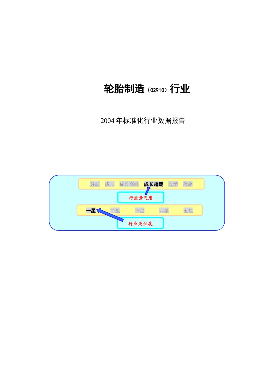 轮胎制造（C2910）行业2004年标准化行业数据报告.doc_第1页