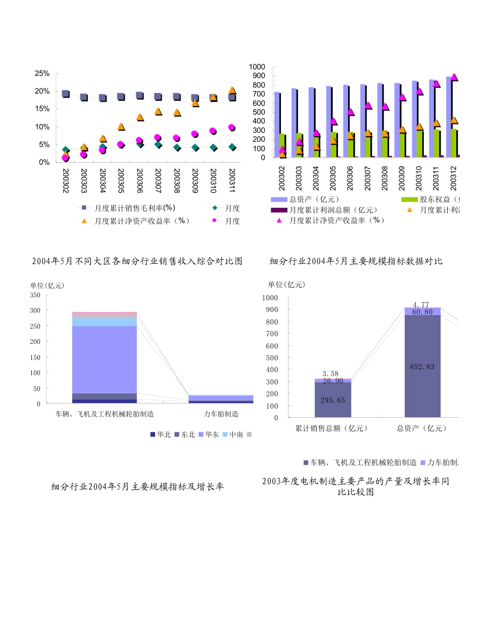 轮胎制造行业报告2004(1).doc_第3页