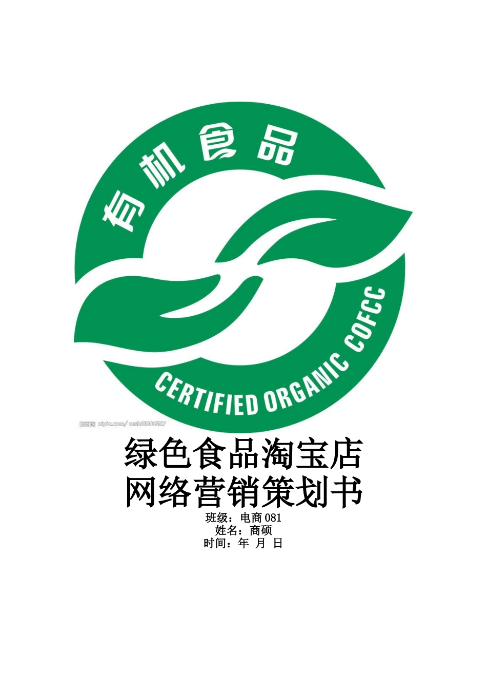 绿色食品网店营销策划书.doc_第1页