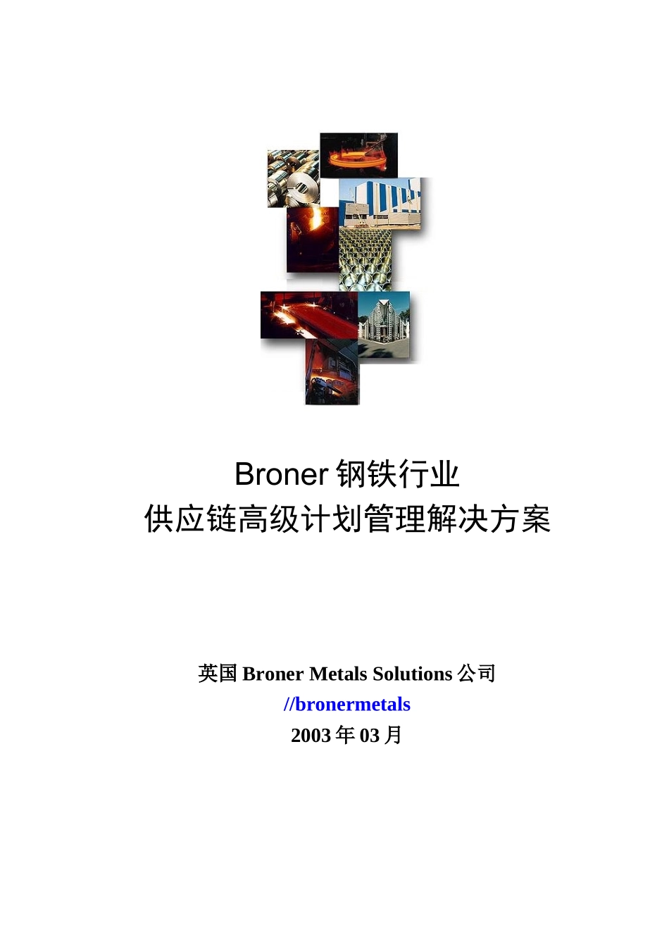 某钢铁行业供应链高级计划管理解决方案.doc_第1页