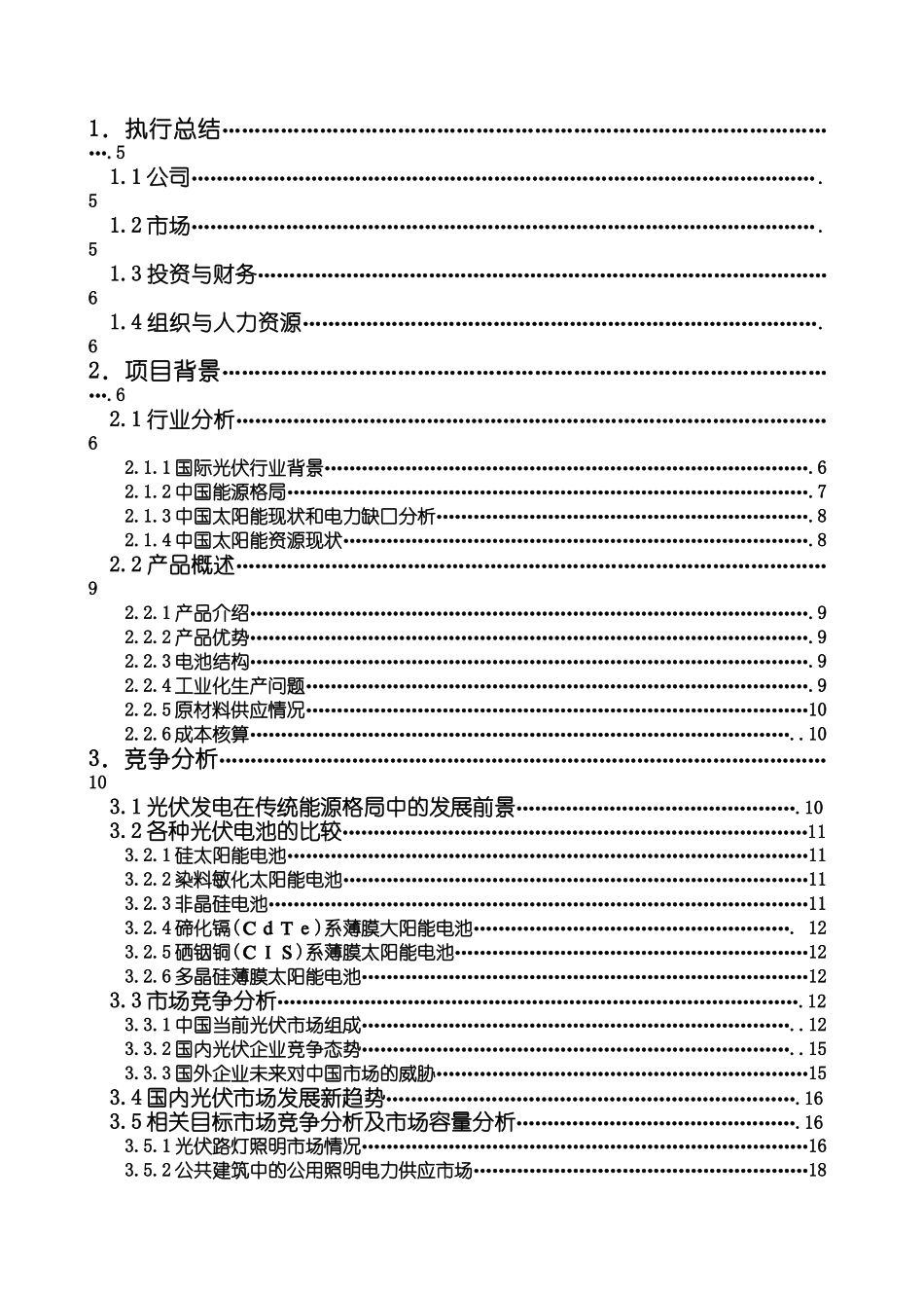 某某某某新能源有限公司商业计划书最终版.doc_第2页