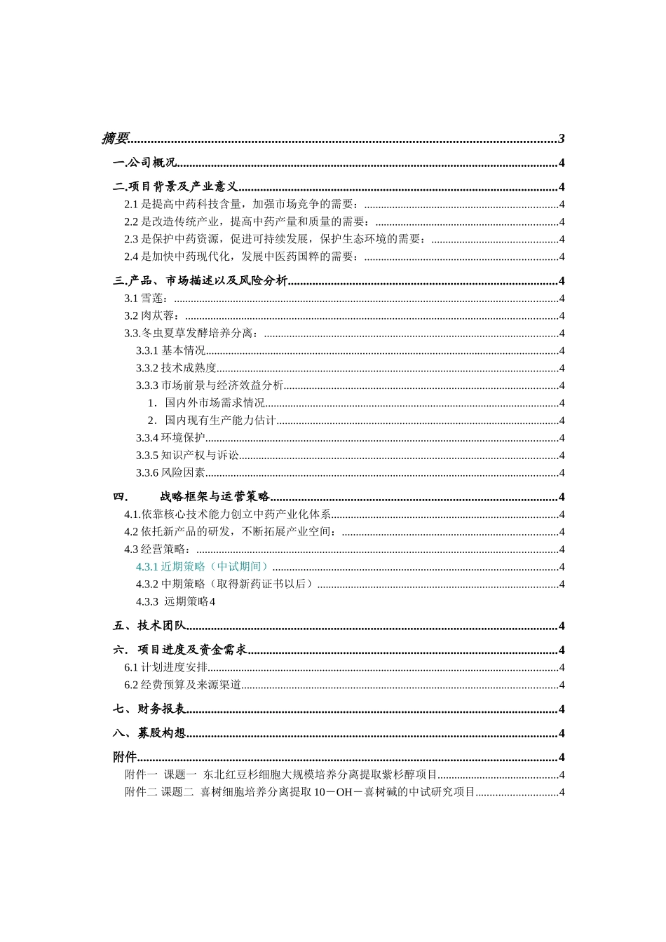 某某融资计划书.doc_第2页