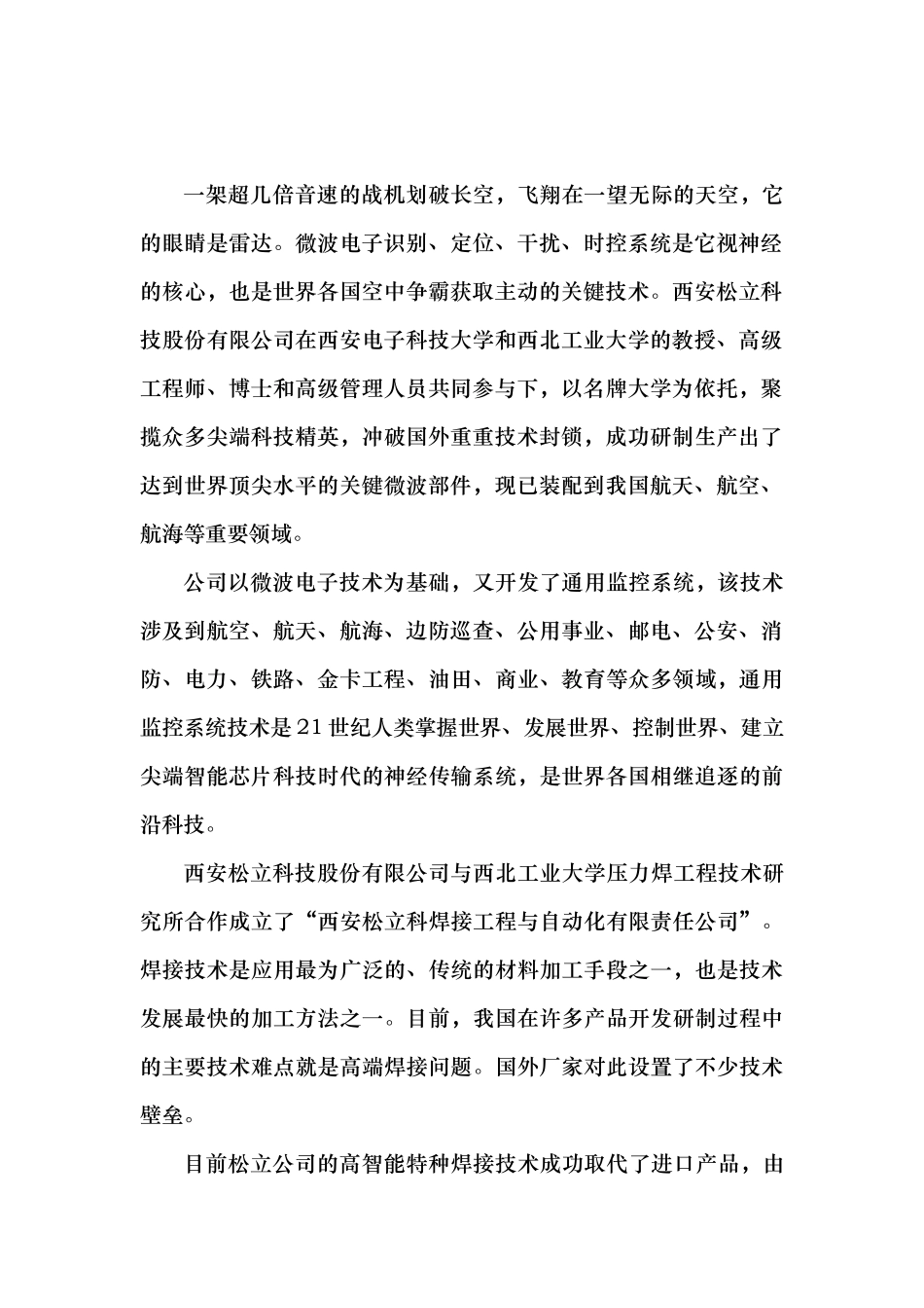 某某商业计划书.doc_第3页