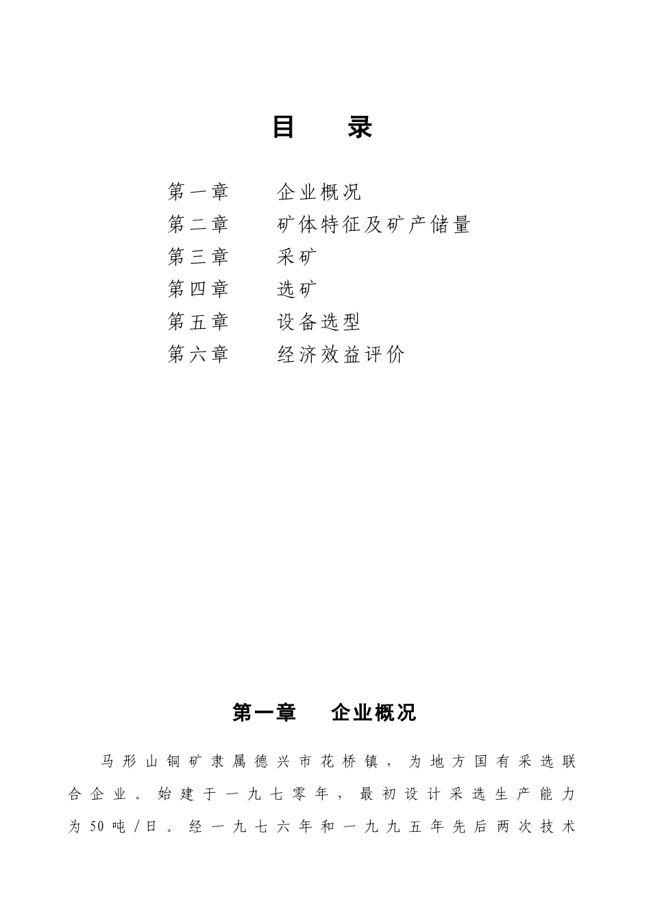 某某铜矿项目建议书.doc_第3页