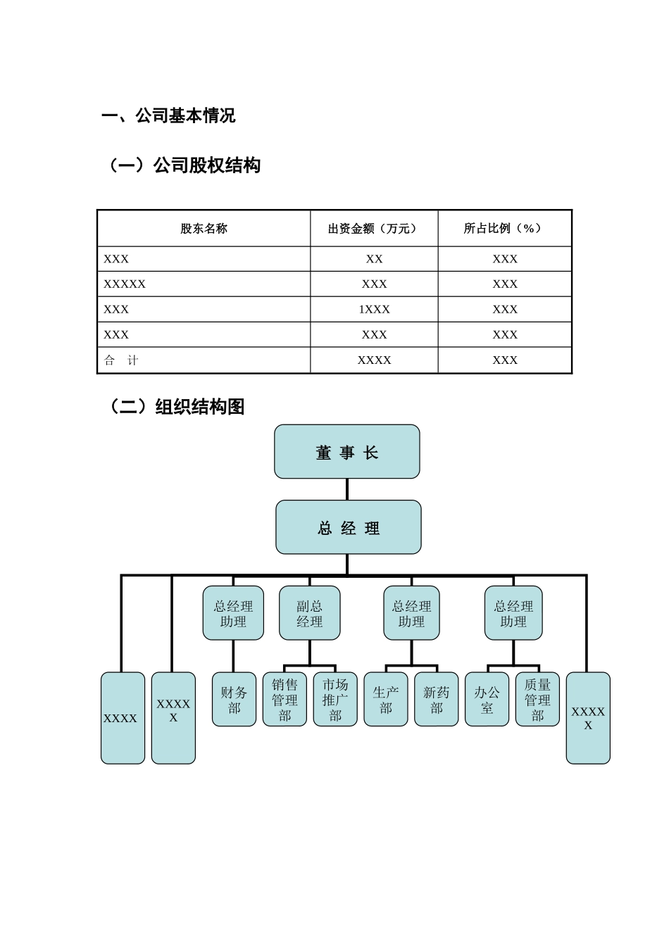 某某药业有限公司商业计划书.doc_第2页
