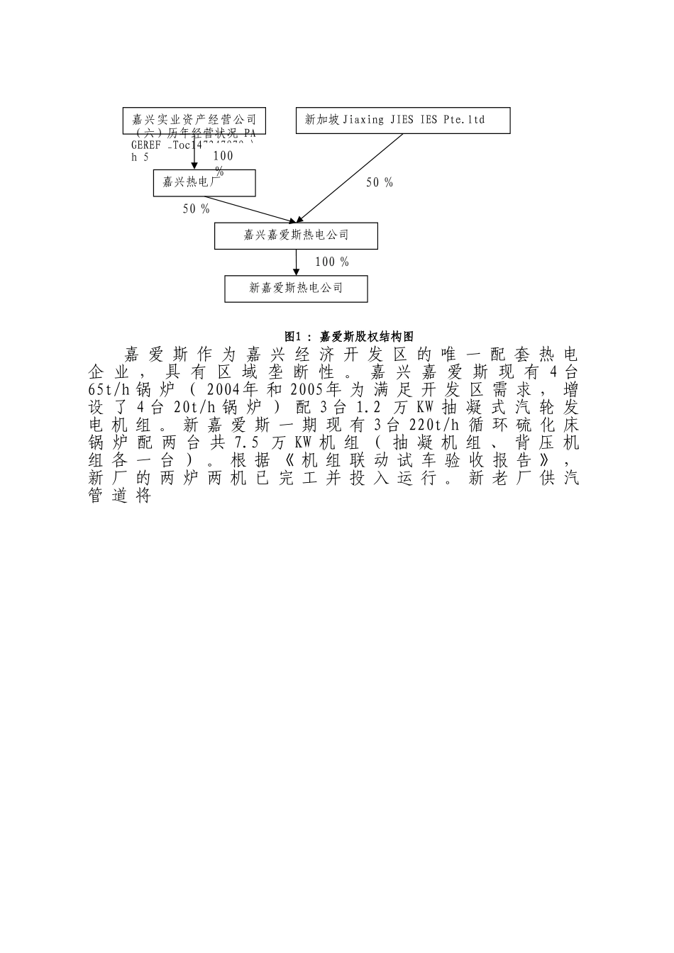 斯热电有限公司初步可行性分析报告.doc_第3页