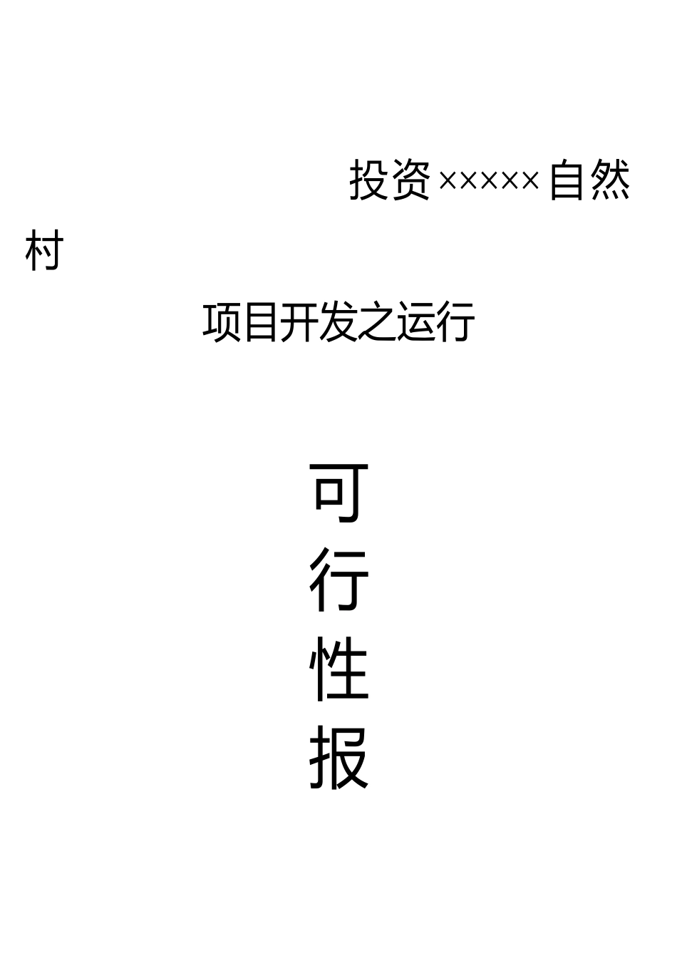 投资某某自然村项目开发之运行可行性报告.doc_第1页