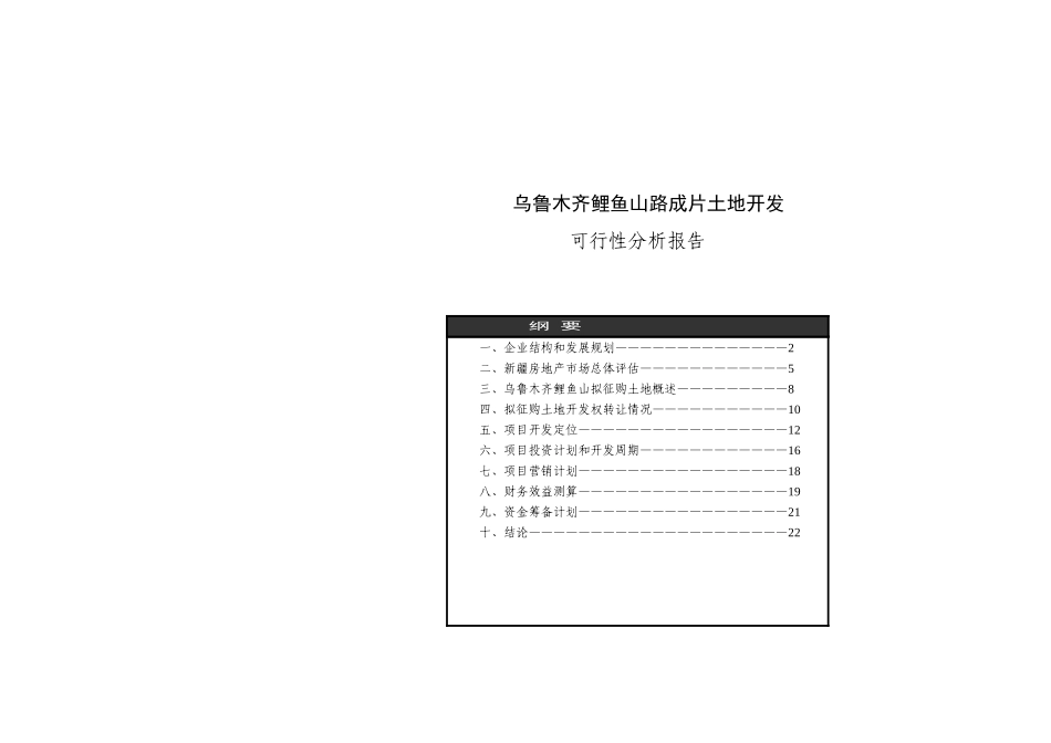 新疆鸿福房地产开发公司可行性报告（排版）.doc_第1页