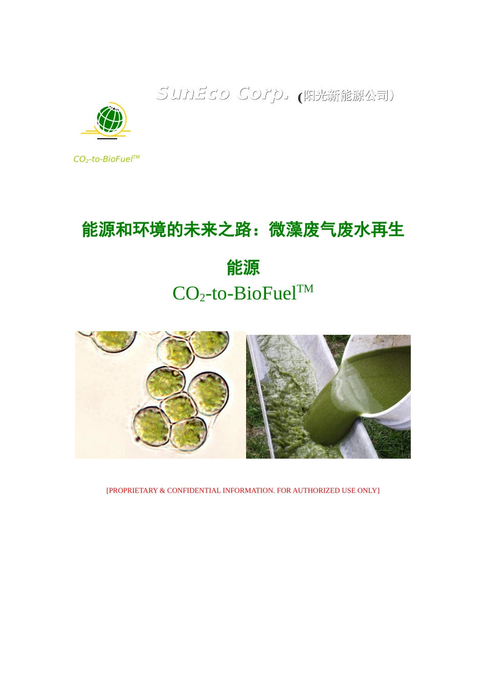 阳光新能源公司创业计划书.doc_第1页