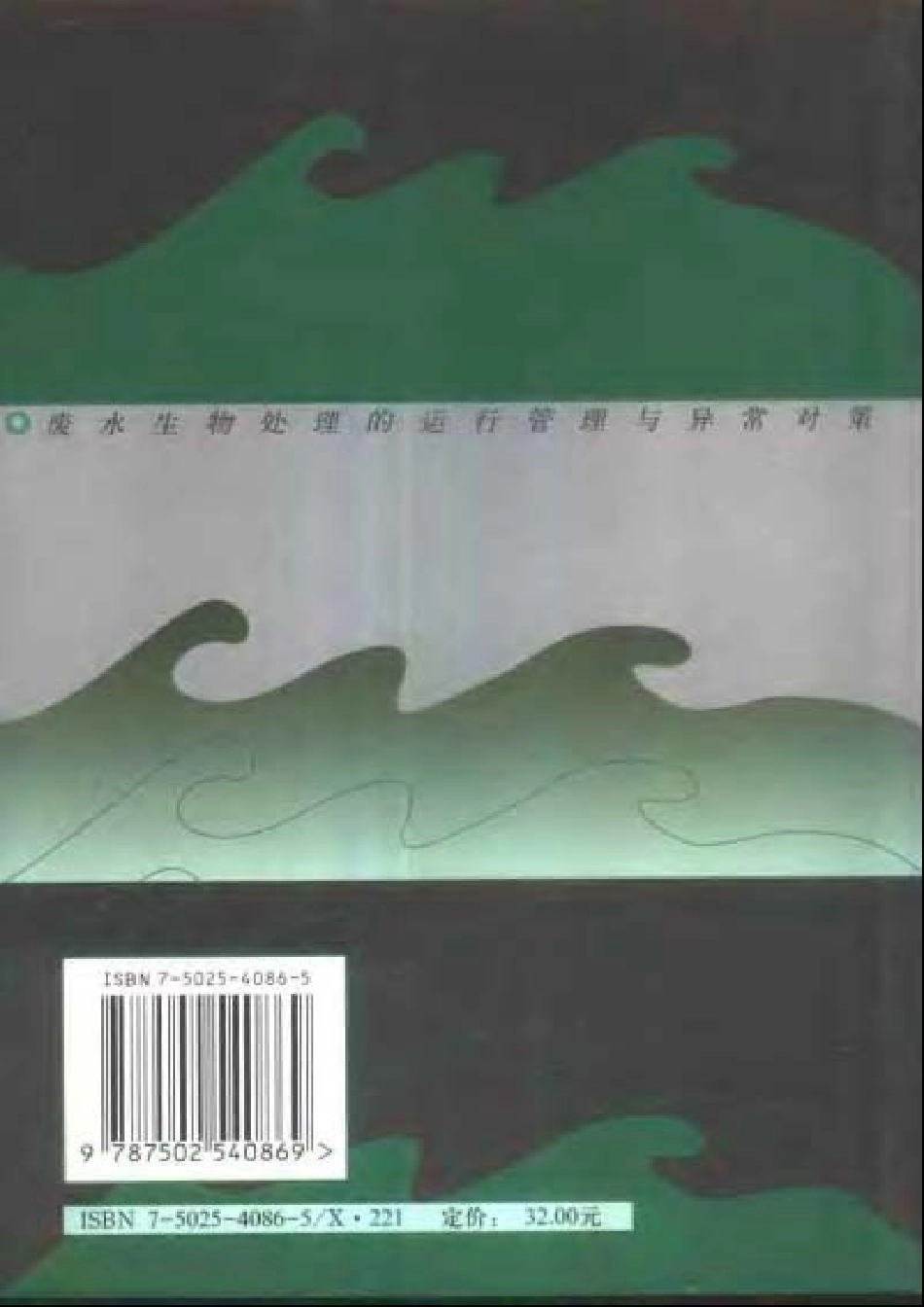 废水生物处理的运行与异常对策.pdf_第2页