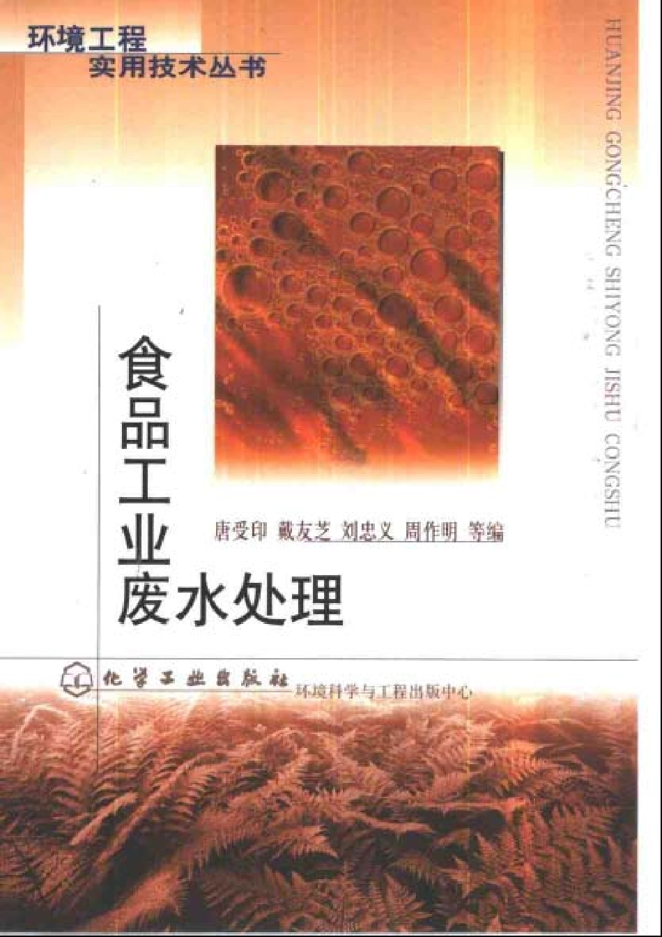 食品工业废水处理.pdf_第1页