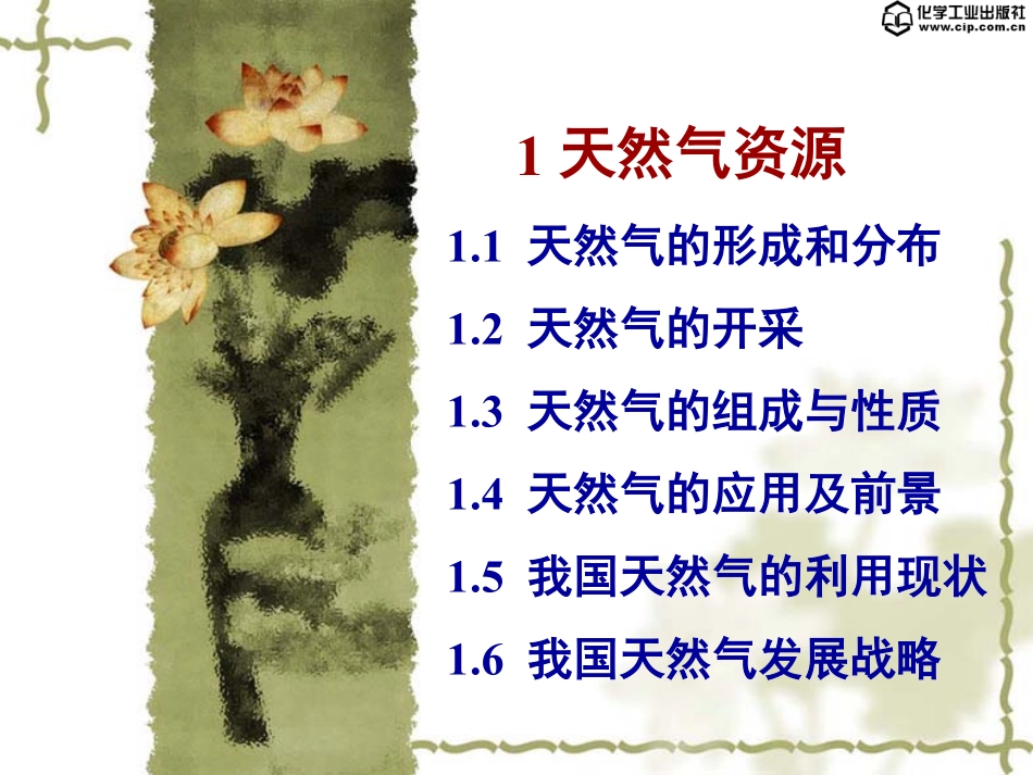 天然气化工工艺学PPT.pdf_第1页
