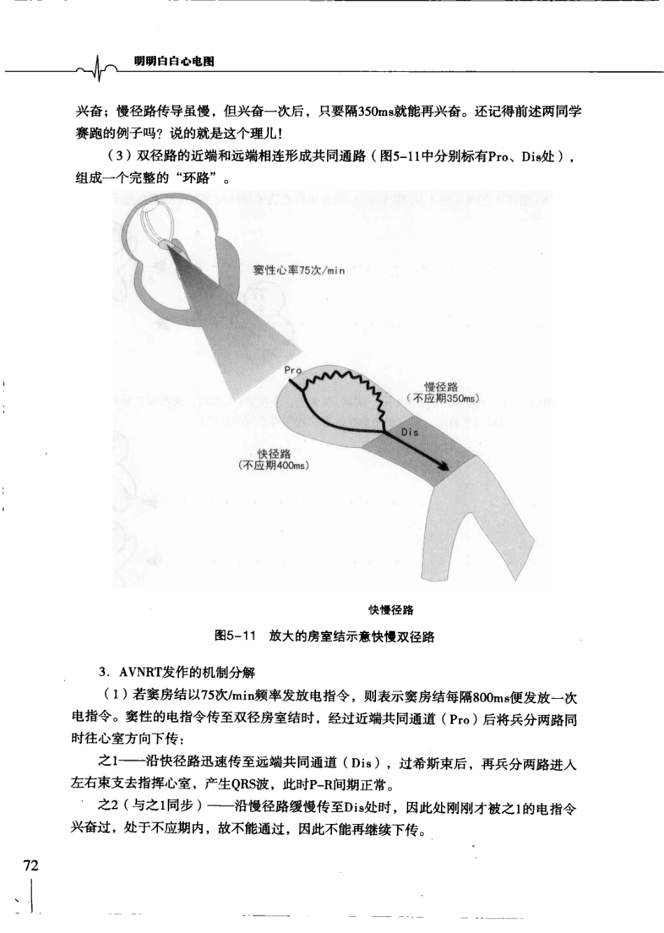 明明白白心电图(第3版).柳竣.王莺_81-120.pdf_第2页