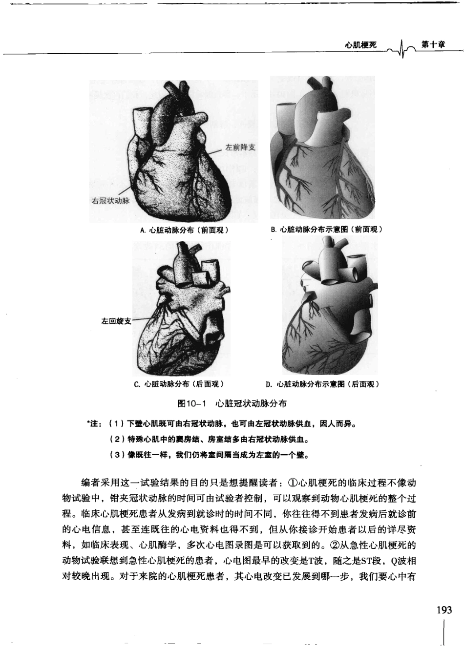 明明白白心电图(第3版).柳竣.王莺_201-226.pdf_第3页