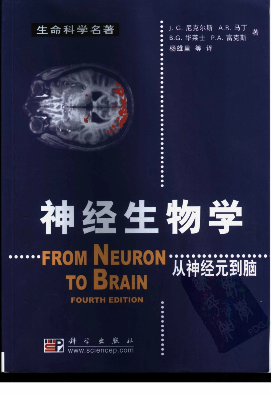 神经生物学+从神经元到脑_11105873_1-60.pdf_第1页
