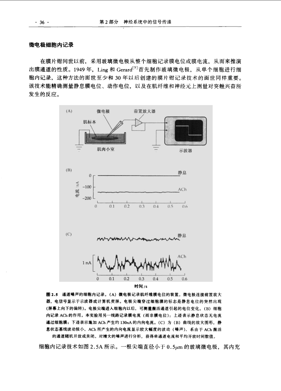 神经生物学+从神经元到脑_11105873_61-120.pdf_第1页