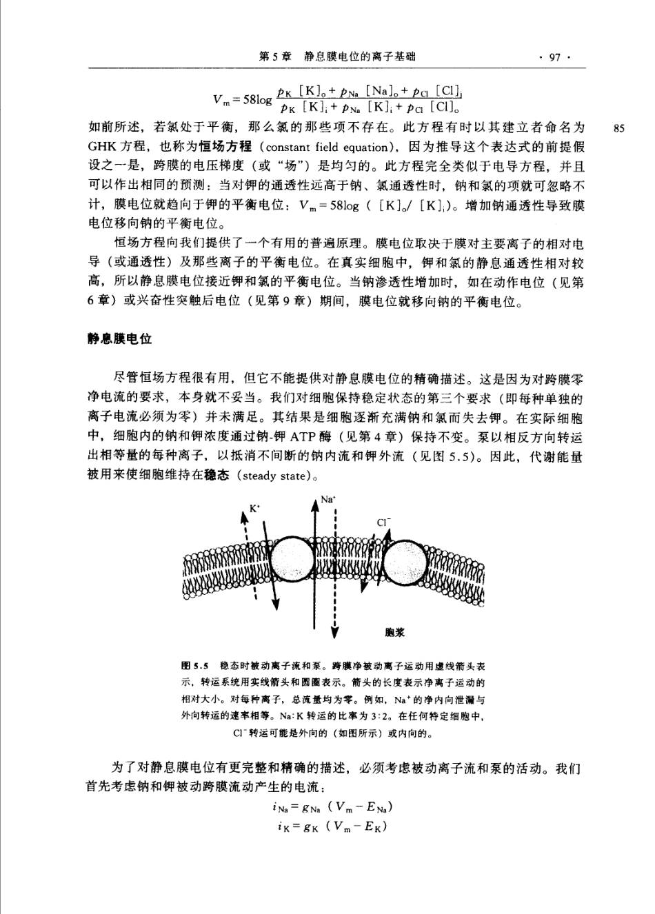 神经生物学+从神经元到脑_11105873_121-180.pdf_第2页