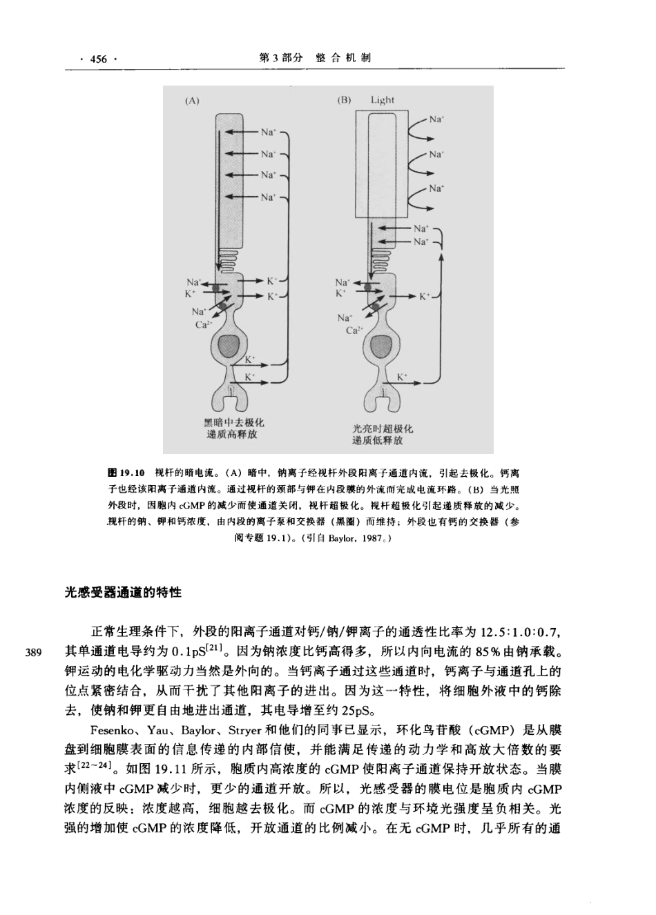 神经生物学+从神经元到脑_11105873_481-540.pdf_第1页