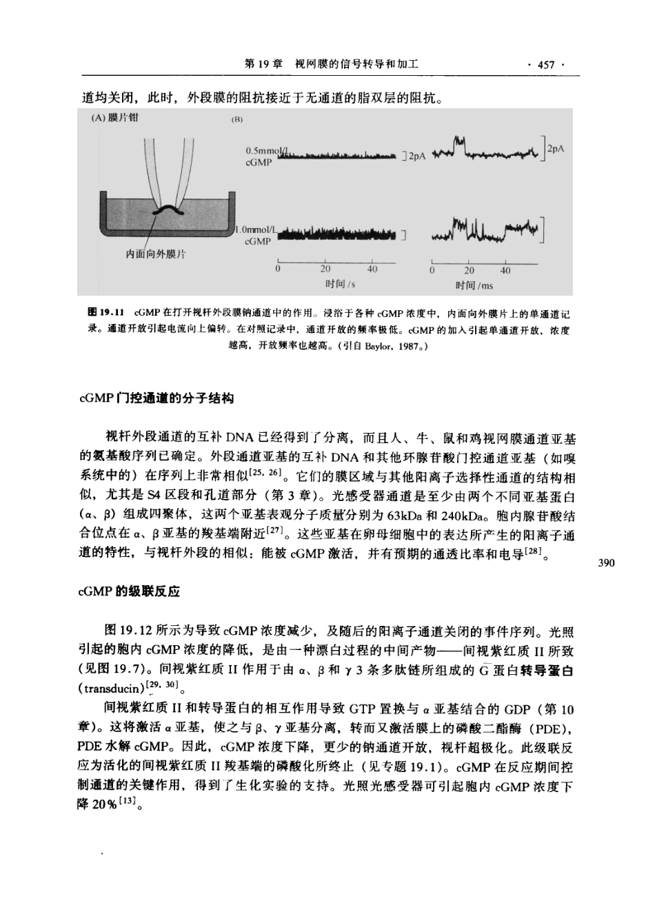 神经生物学+从神经元到脑_11105873_481-540.pdf_第2页
