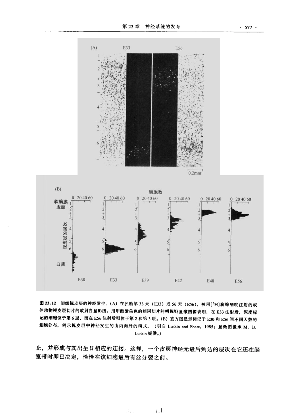 神经生物学+从神经元到脑_11105873_601-660.pdf_第2页