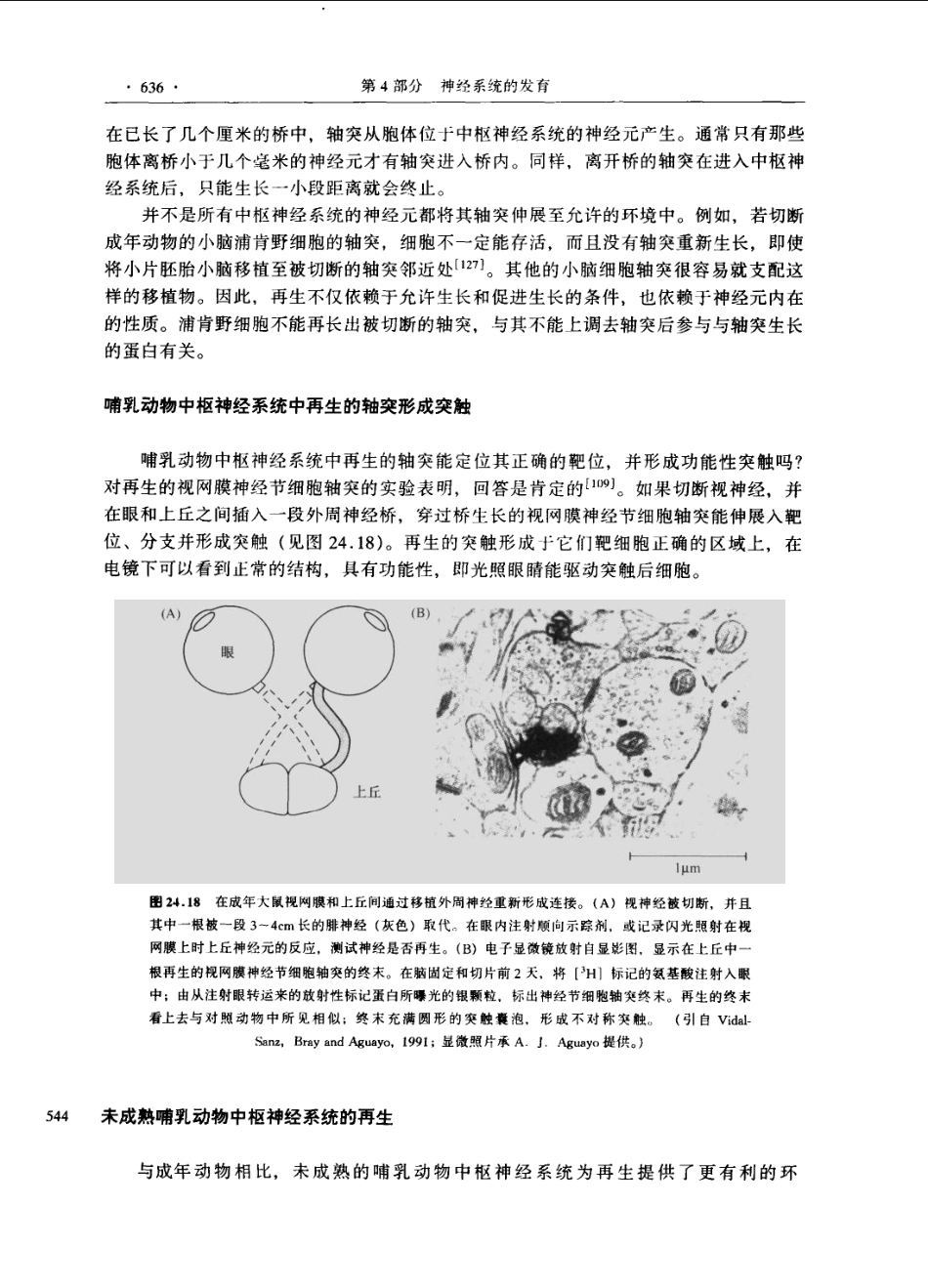 神经生物学+从神经元到脑_11105873_661-720.pdf_第1页