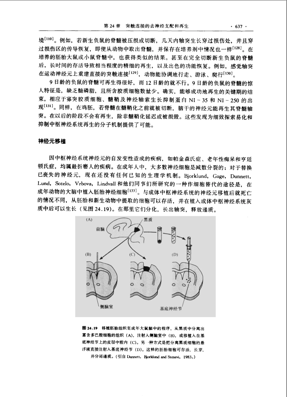 神经生物学+从神经元到脑_11105873_661-720.pdf_第2页
