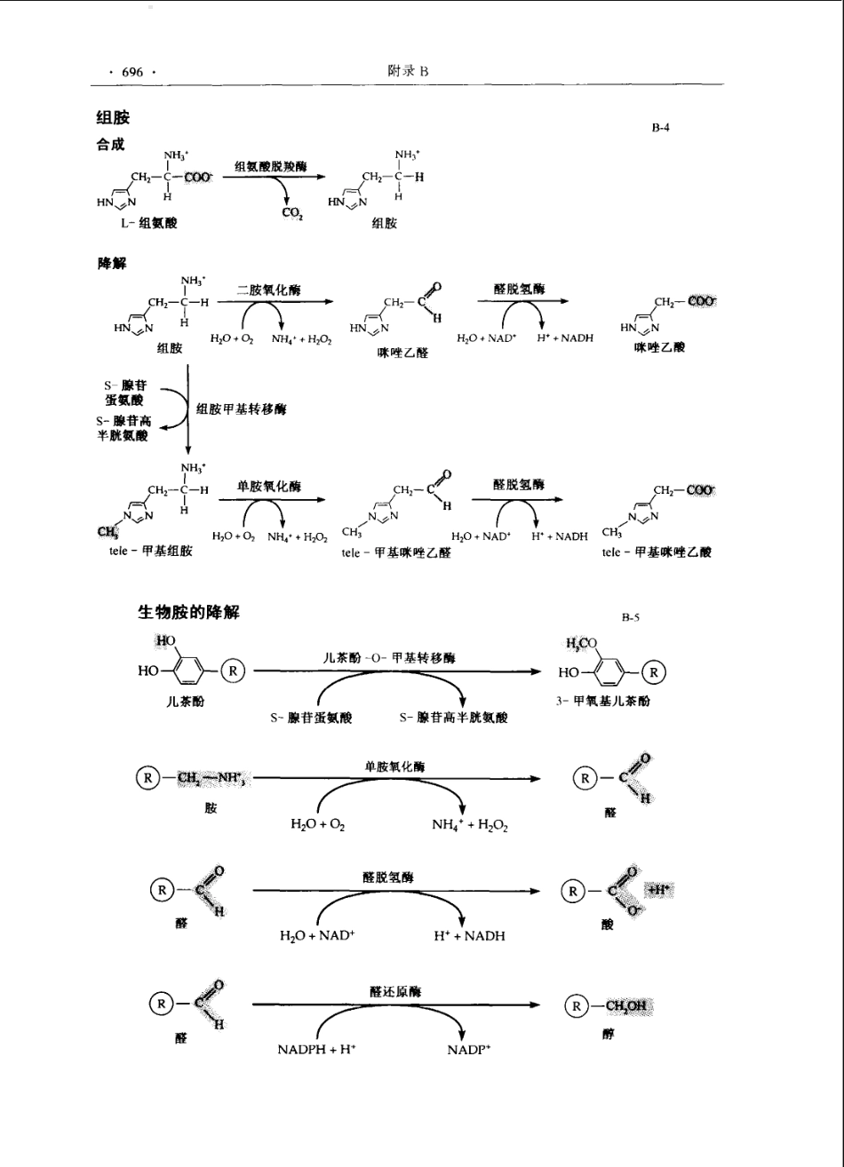 神经生物学+从神经元到脑_11105873_721-780.pdf_第1页