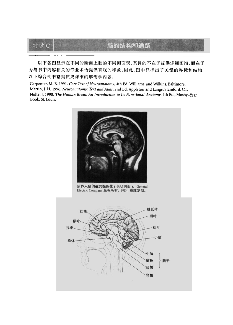 神经生物学+从神经元到脑_11105873_721-780.pdf_第2页