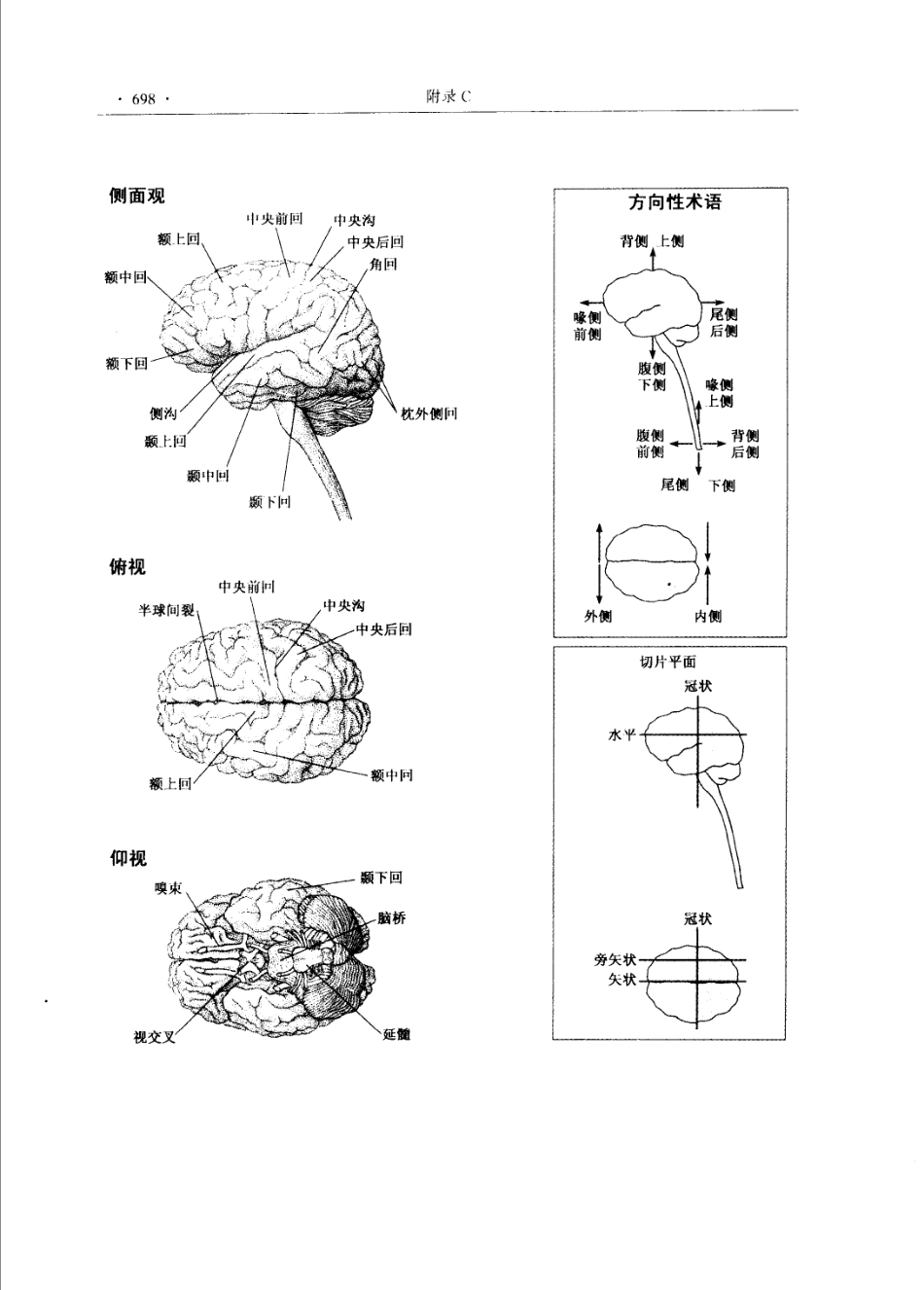 神经生物学+从神经元到脑_11105873_721-780.pdf_第3页