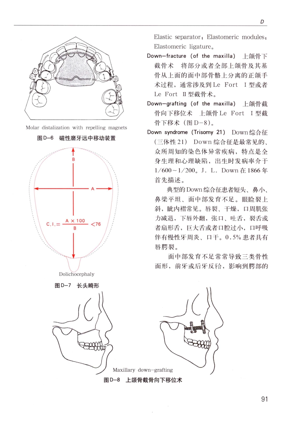 国际牙科名著系列  正畸学专业术语大全_段银钟译2005_101-150.pdf_第2页