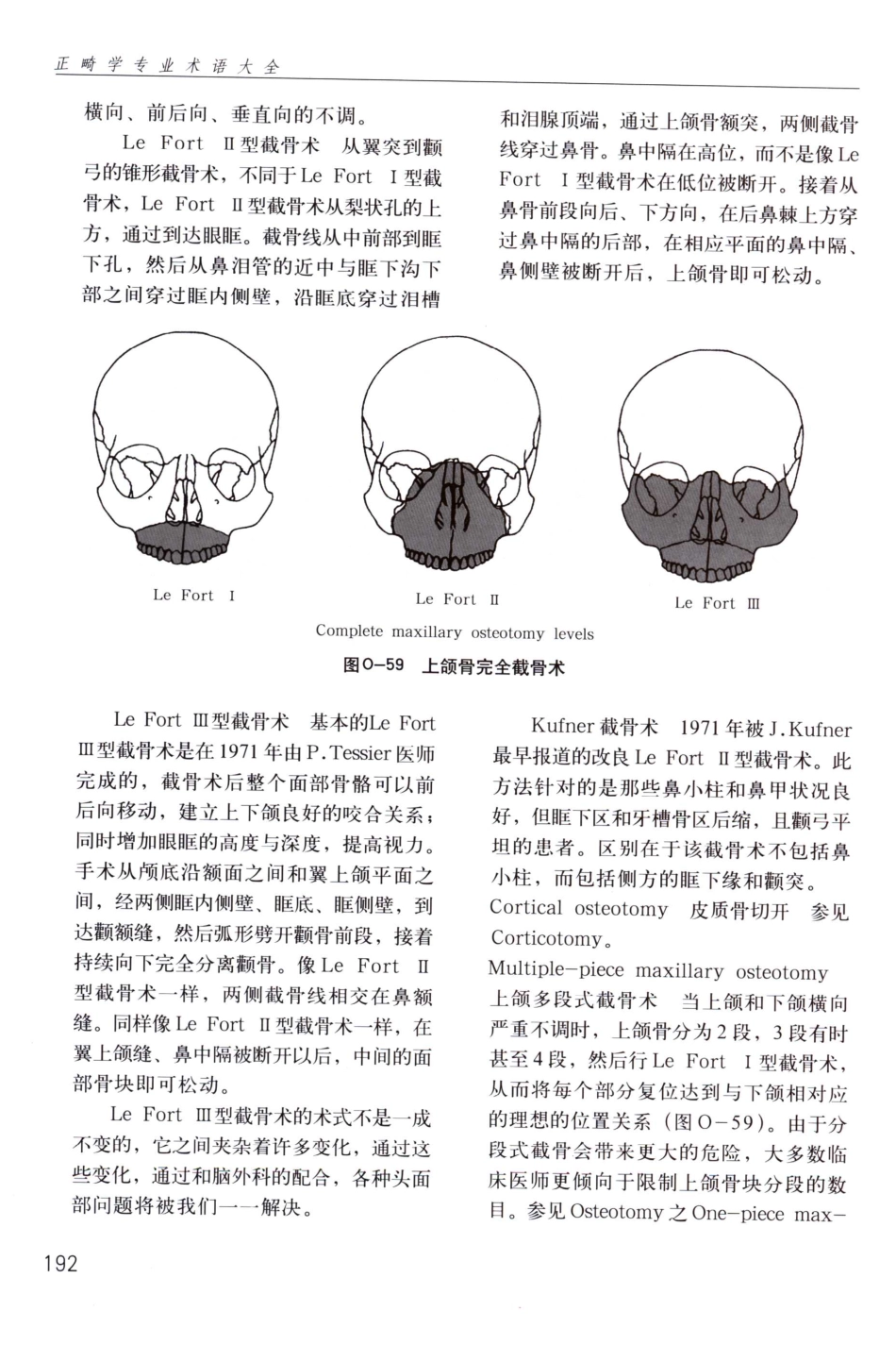 国际牙科名著系列  正畸学专业术语大全_段银钟译2005_201-250.pdf_第3页