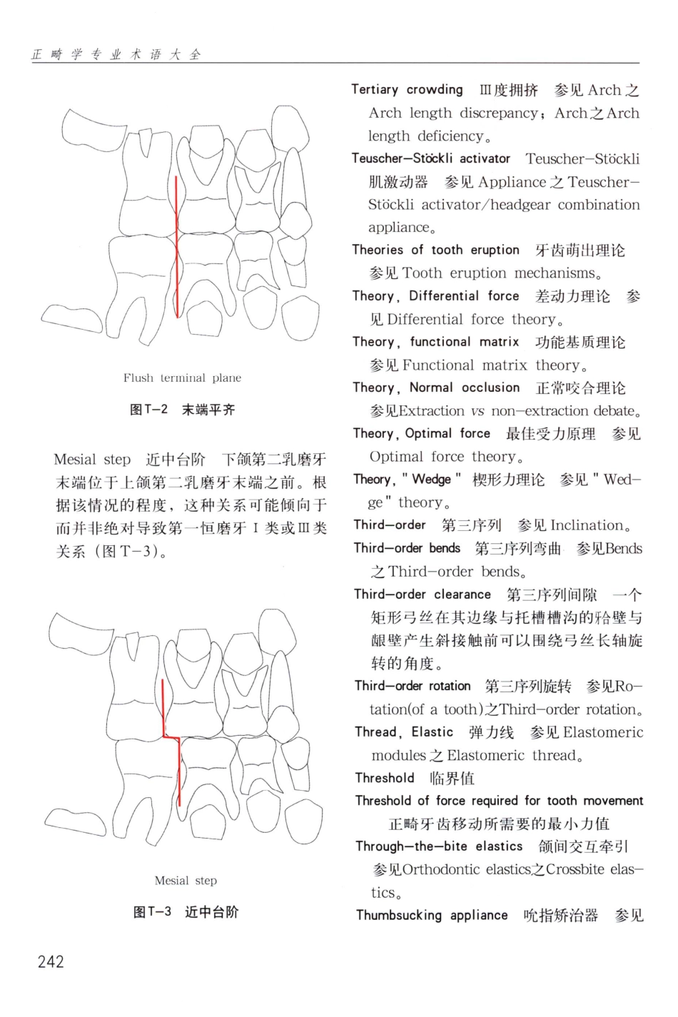 国际牙科名著系列  正畸学专业术语大全_段银钟译2005_251-290.pdf_第3页